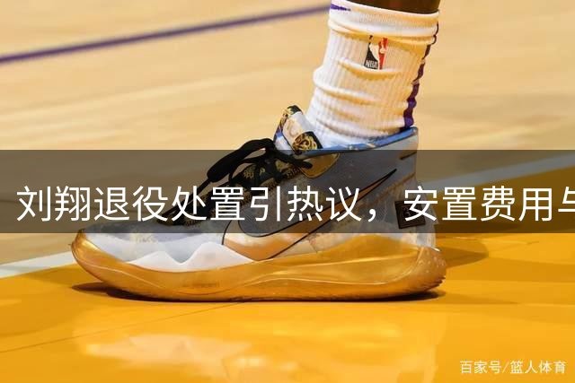 刘翔退役处置引热议，安置费用与广告分成悬殊