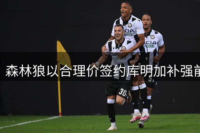 森林狼以合理价签约库明加补强前场获A-评级 鹈鹕签马瑟林获B+